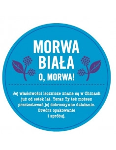 MORWA BIAŁA OWOCE 2